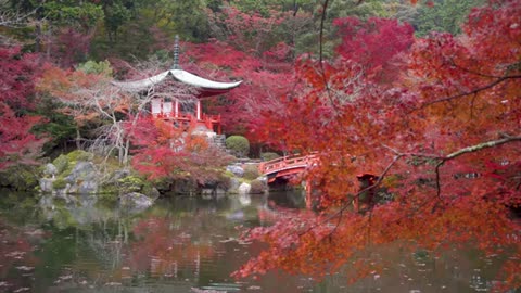 JAPAN 4K - Scenic Relaxation Film With Calming Music #japan