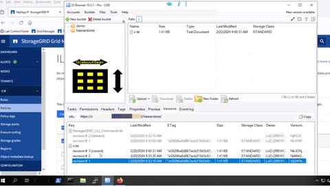 Deleting non-current object versions on NetApp StorageGRID