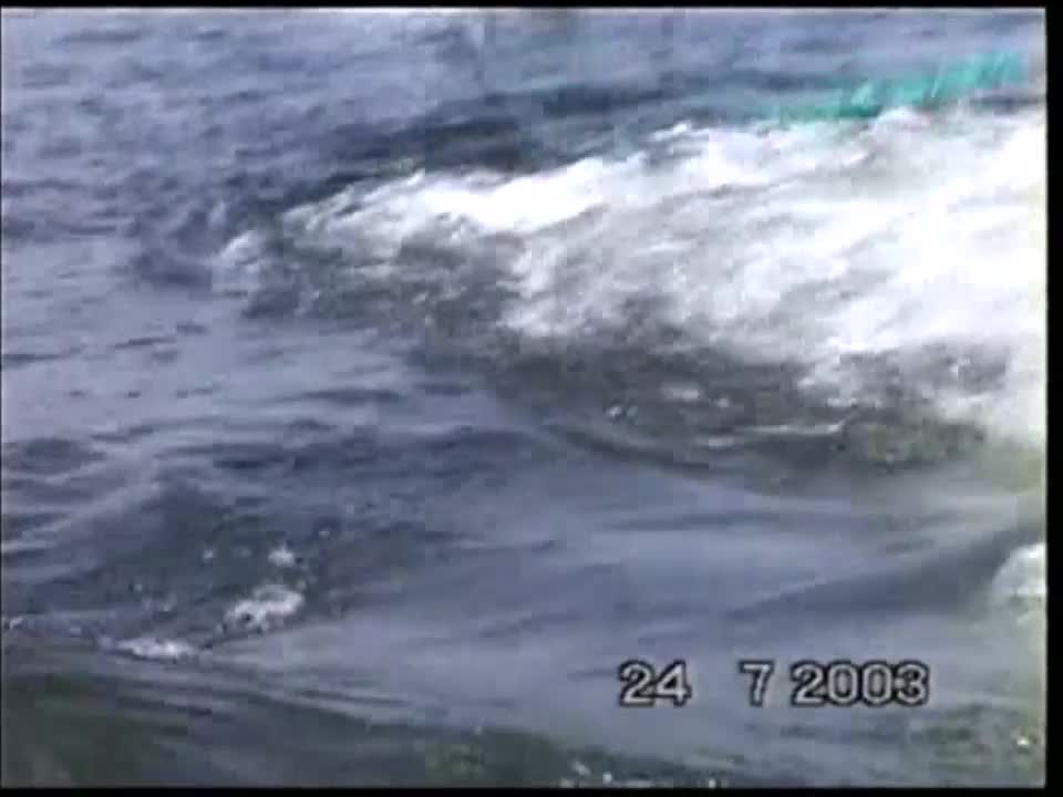 2003 Fun at the lake