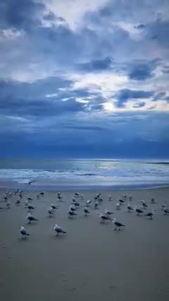 Amazing scene of beach ever must watch