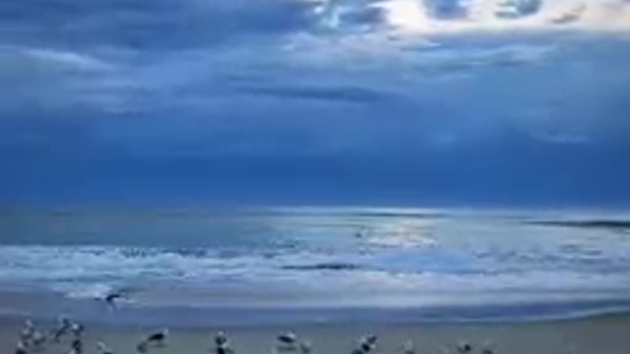 Amazing scene of beach ever must watch