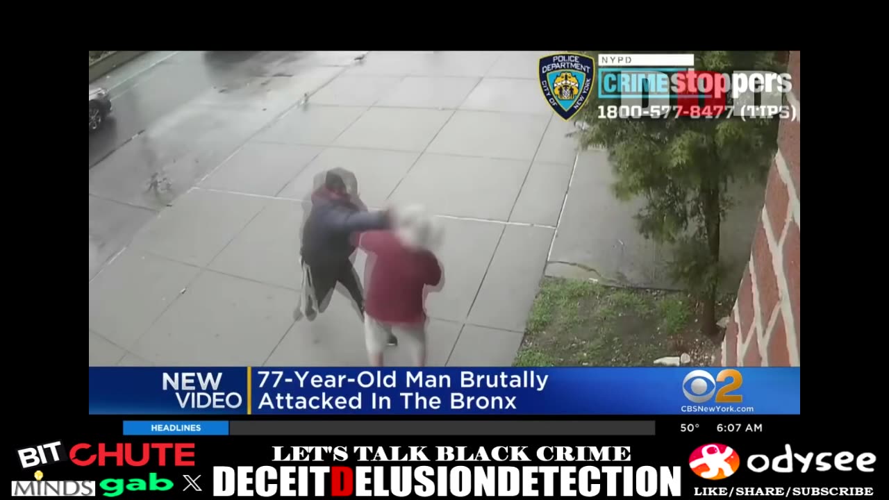 77-year-old white man brutally attacked in the Bronx by black suspect