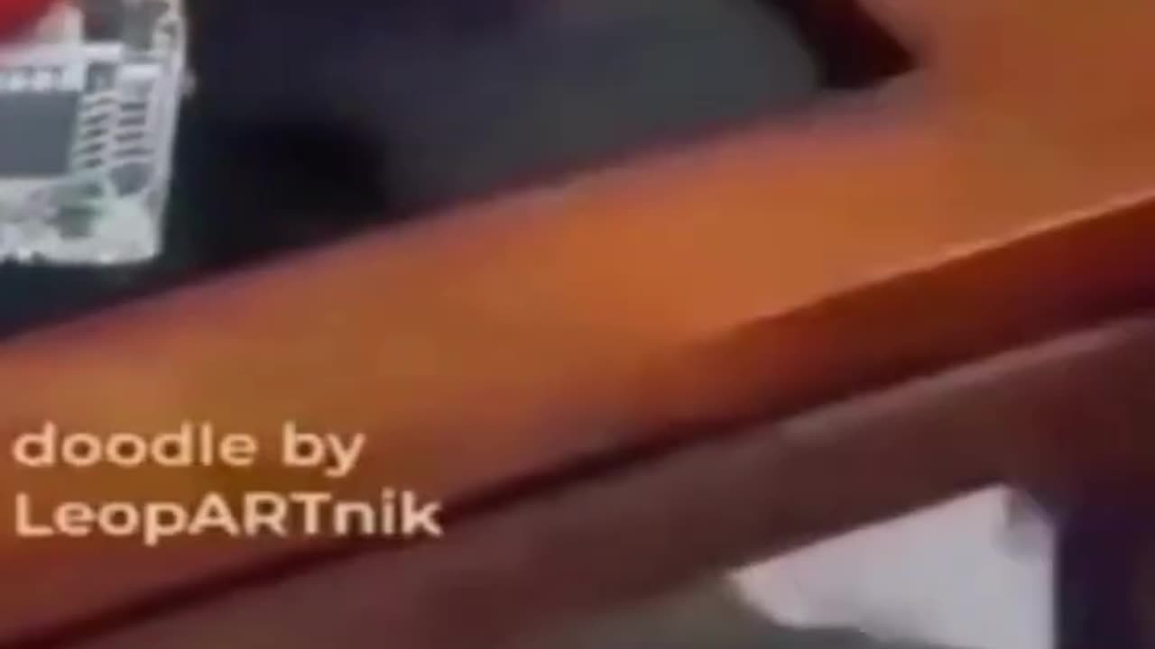 What the heck is going in animal world are the humanππ€£ππ³π³