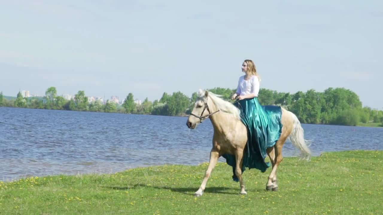 Young beautiful woman rider riding a white horse on the field