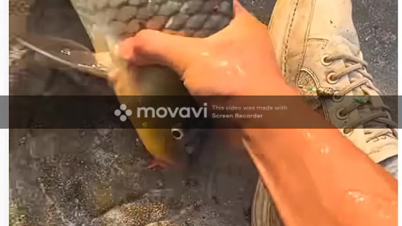 Yummy😋 Big Fish Catch Part-02। #fishing #fishingvideo #hookfishing #fishbait