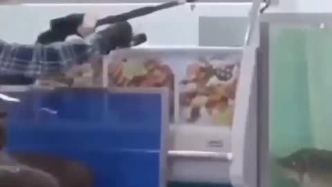 This is a beautiful and charming water-dwelling species