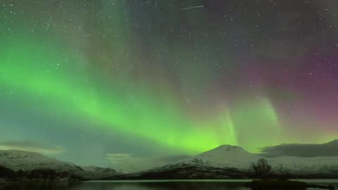 NORTHERN LIGHTS