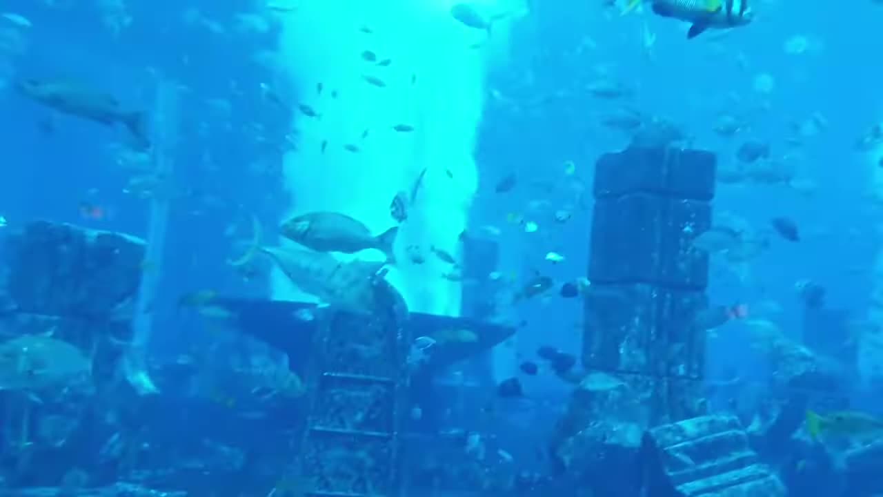 FISH TANK