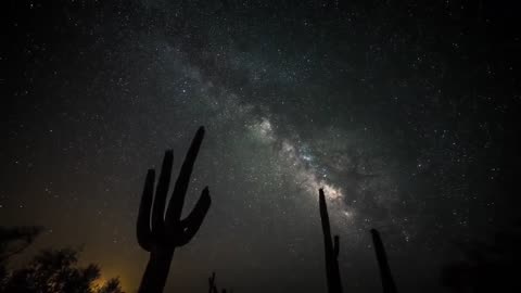 Art Bell MITD - Ron Morehead & Scott Nelson - Bigfoot Sounds