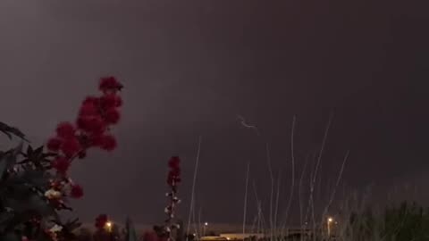 tremendous video 😲😲😲