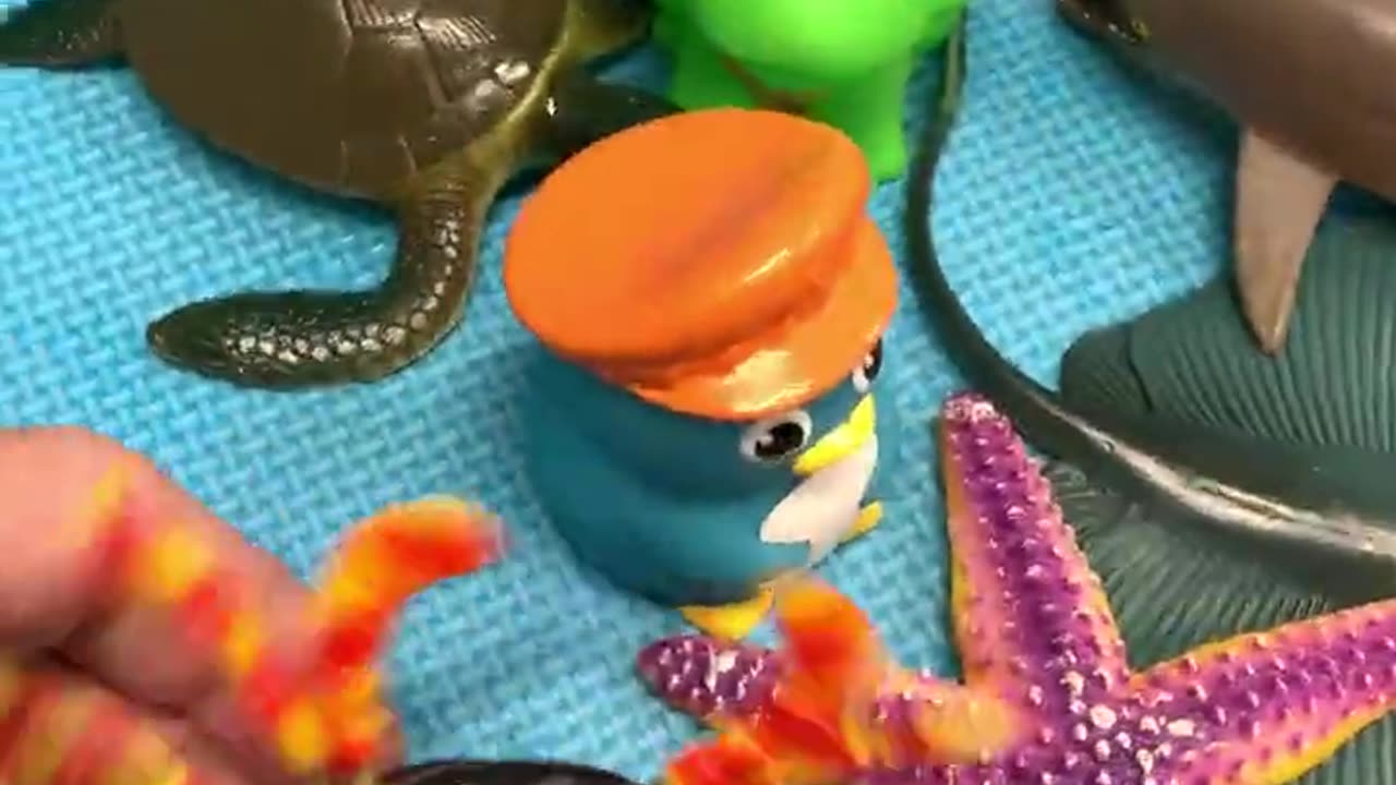 Sea Animal Toys