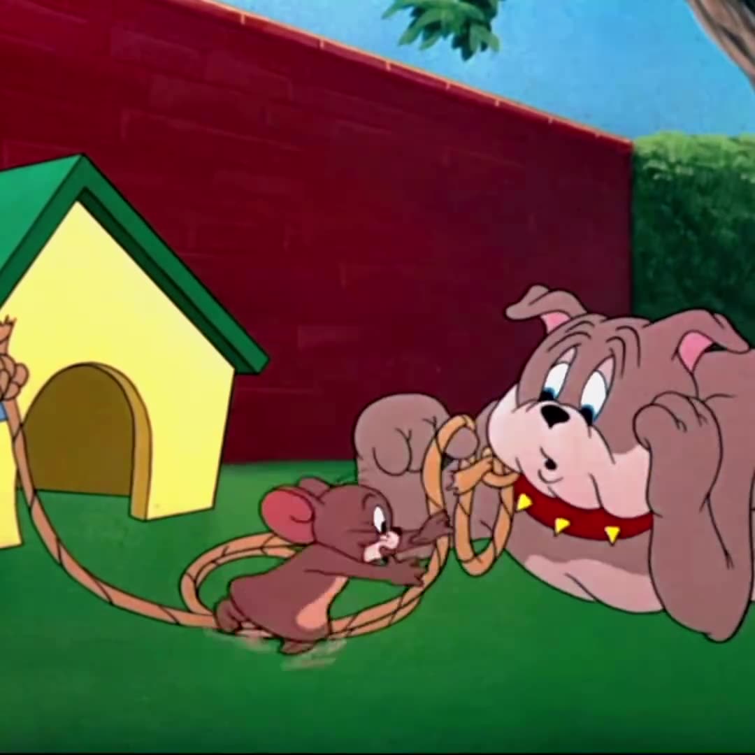 Very funny & classic cartoon