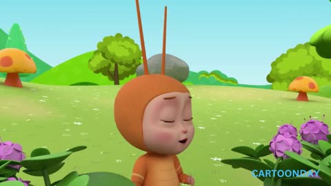 Itsy Bitsy Spider Nursery Rhymes & Kid Song