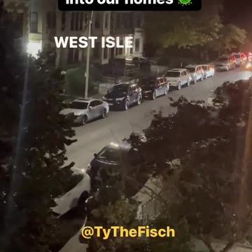 West Niles Virus Outbreak In NYC!?!? 🫣😠😡