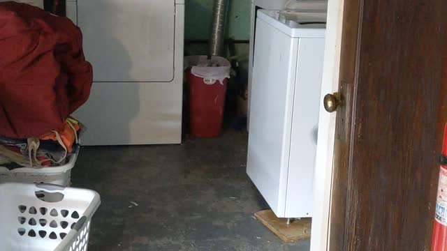 Adding shelving for grow lights in the basement