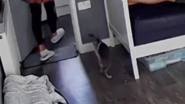 That's it, brother, come on! See you soon! 👊