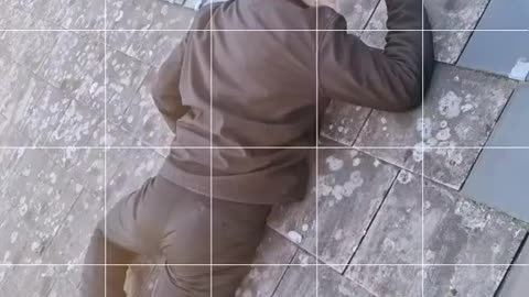 London life and family