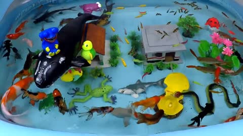 Cute Animals, Giant Whale, Crocodile, Flapping Duck, Black Shark, Turtle, Seahorse, Snake, Goldfish