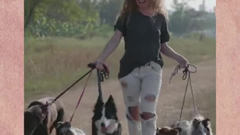 CUTE DOGS WALK # CUTE DOG # ITS JUDAMI # #TRENDINGSHORTS # #SHORTS