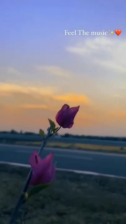 Top 10 Make New Aesthetic video song terending