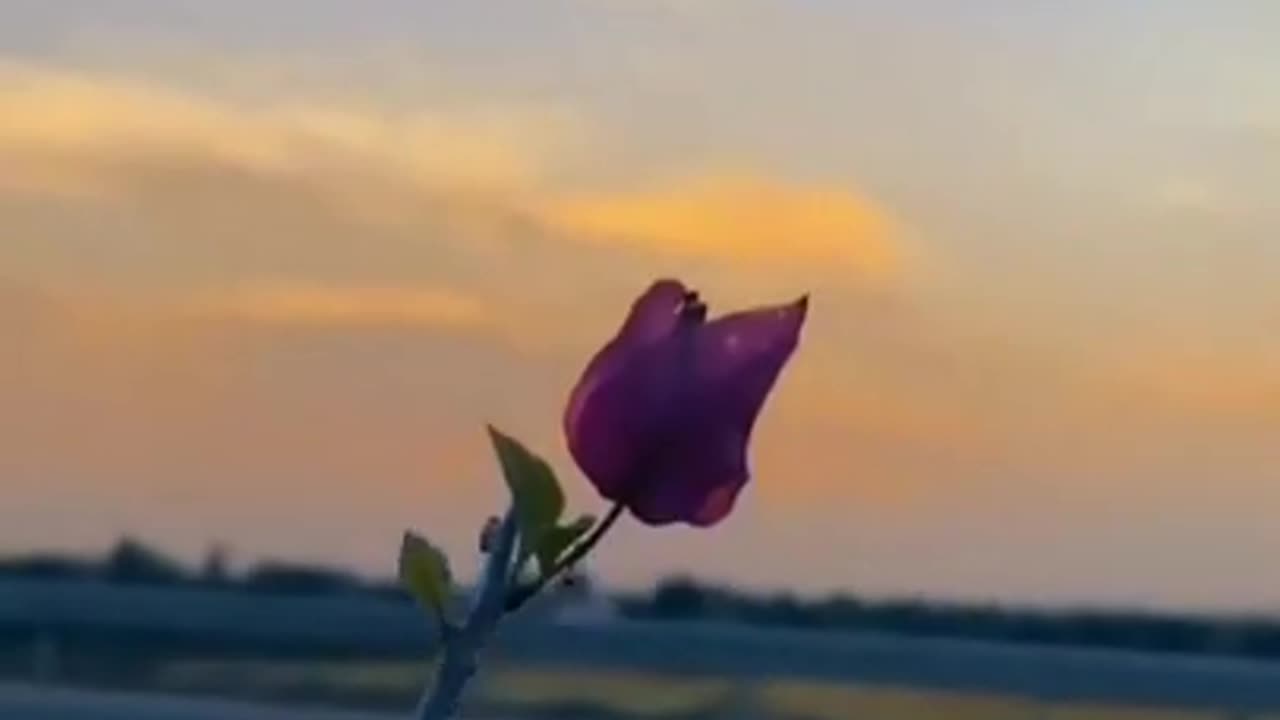 Top 10 Make New Aesthetic video song terending