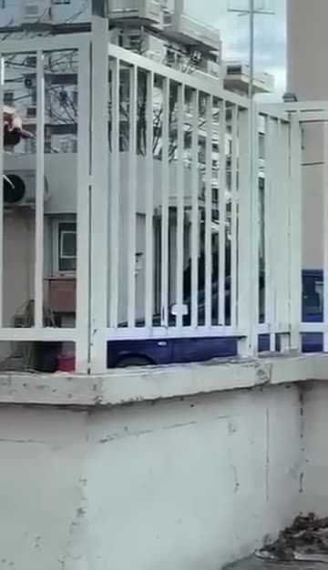 Shiti mbesën si nuse për 6 mijë euro, por pendohet, 45 vjeçari ekzekutohet