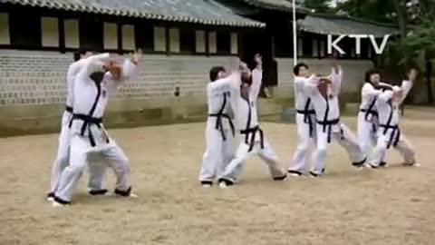 Hapkido