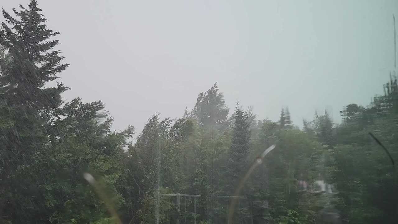 Lightning Strikes Tree During Thunderstorm