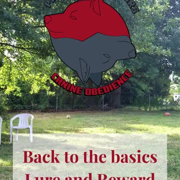 Ruff Cut PodCast Back to the Basics Lure and Reward part 7