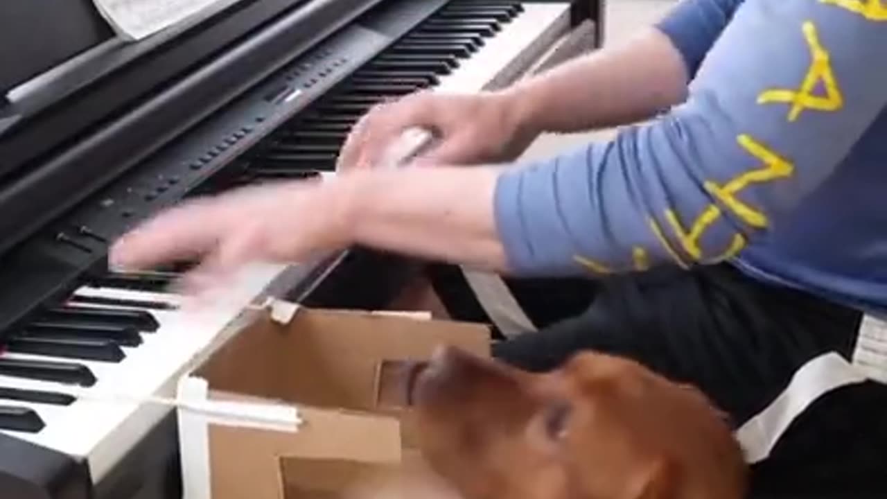 That's Woofgang Amadeus Mozart