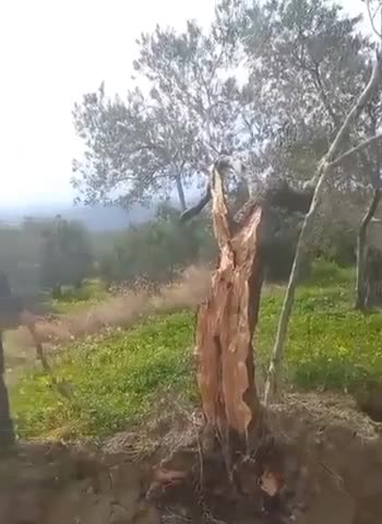 Earthquake In Turkey Opens Up The Ground