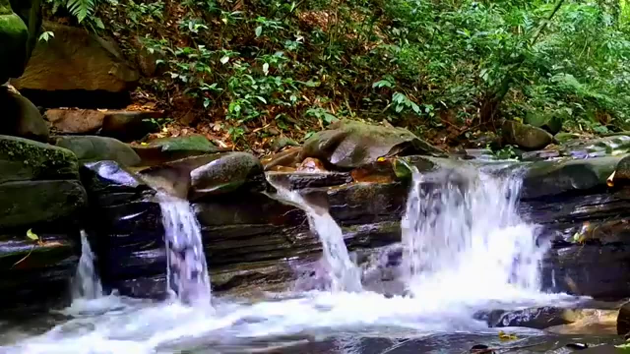 Discover the Magic of Water Sounds: Relaxation and Calmness