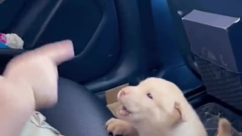 Lovely little ones 😍😍🥰🥰🥰👼👼👼