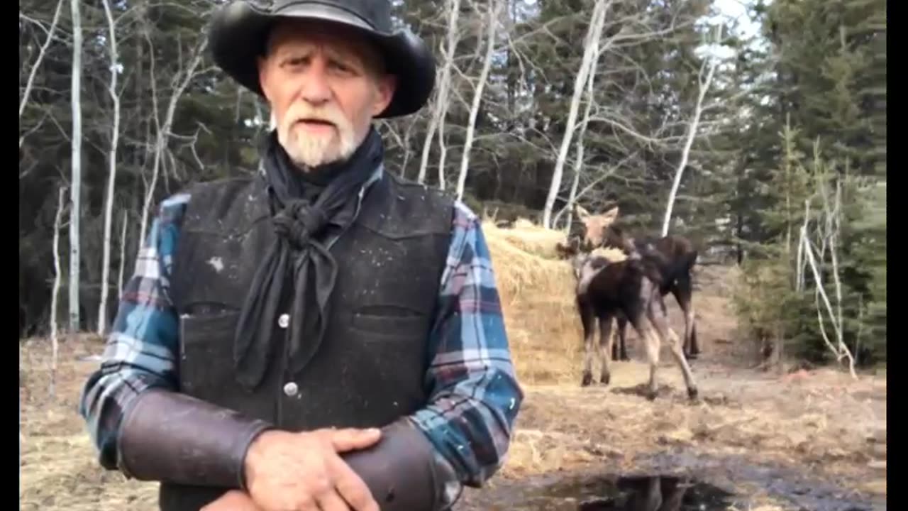 Monopoly inside a monopoly