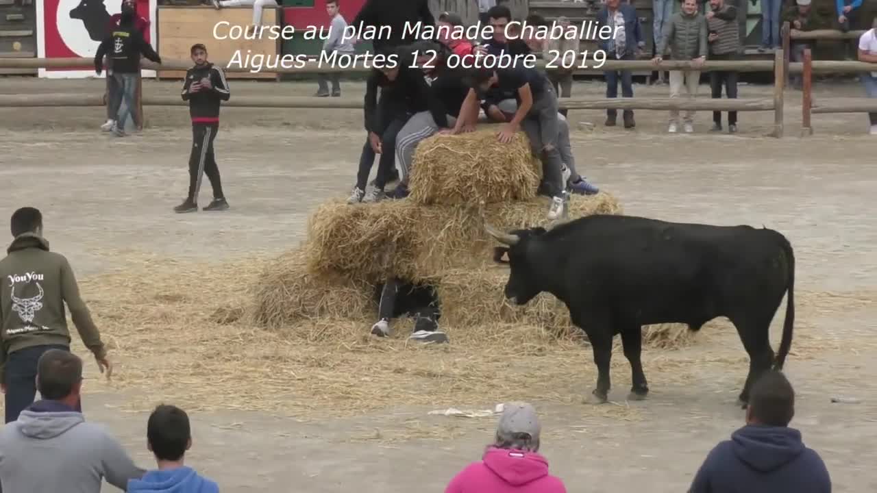 Amazing Spanish Bull Strength The Power Of The Bullfighting