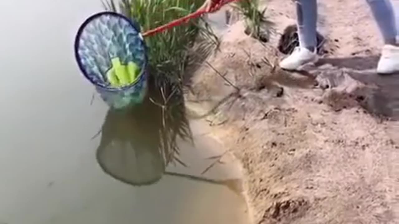 Amazing Rural Fishing Video 🐟 Best Asian Fishing Technique 🐟