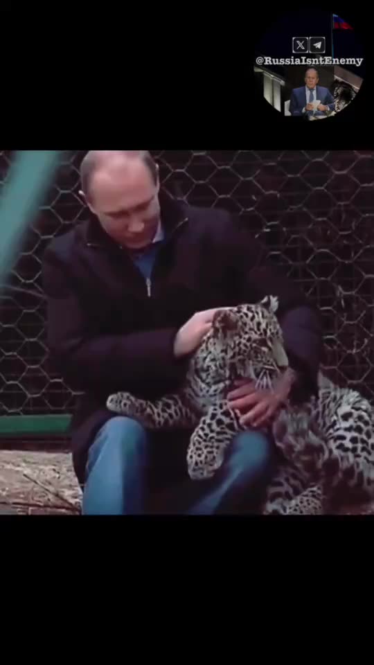 President Putin “I love animals and apparently they feel it”.
