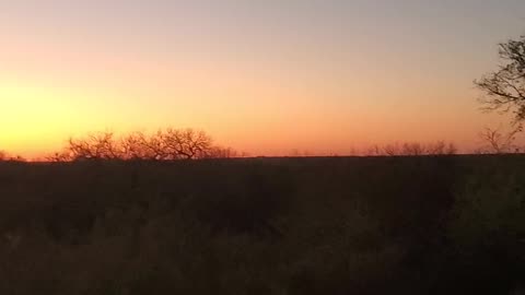 Texas sunset