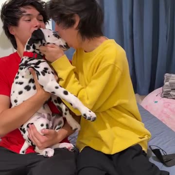 I Bought The World's Rarest Puppy!