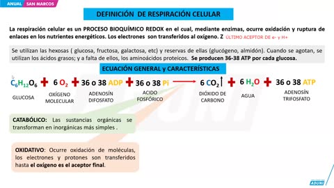 ANUAL ADUNI 2024 | Semana 08 | RM | Biología