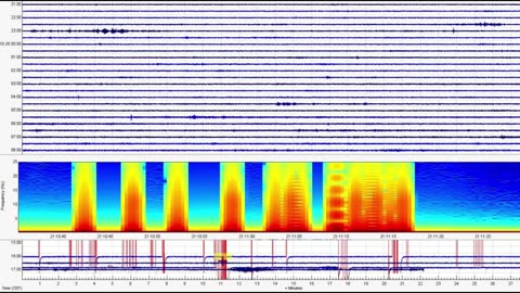 Old Faithfull Eruption, Earthquakes and Snow At Yellowstone SUPER VOLCANO
