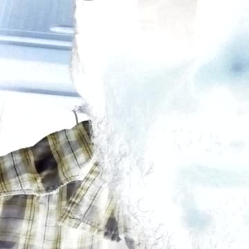 Anti-Government Type