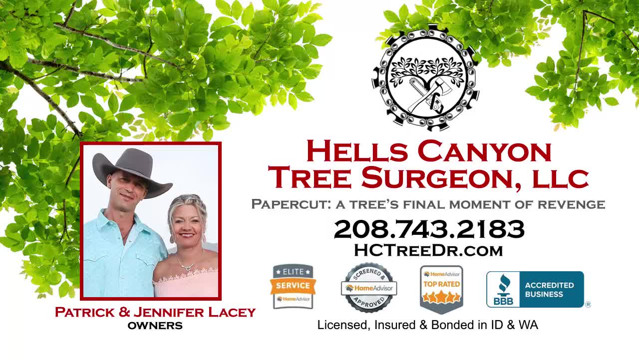 Hells Canyon Tree Surgeon