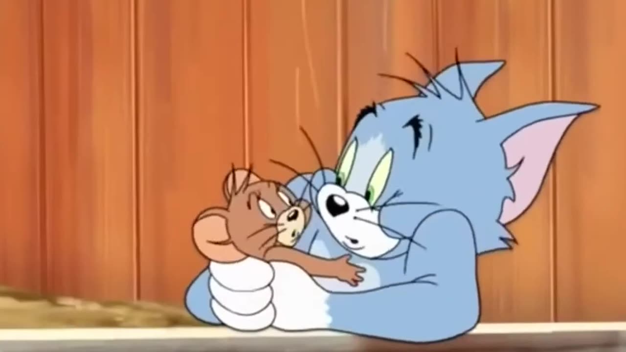 Tom and Jerry new cartoon compilation