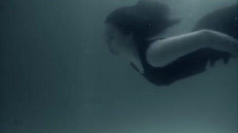 Dysphoric Flood