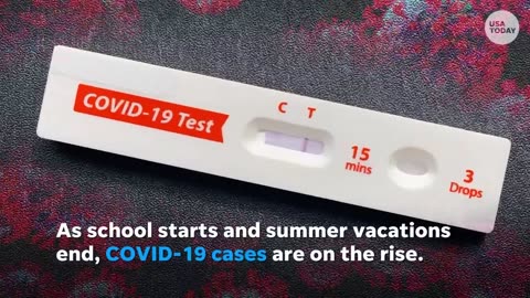 COVID cases and hospitalizations on the rise again