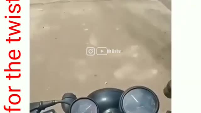 Animal thug life - thug life