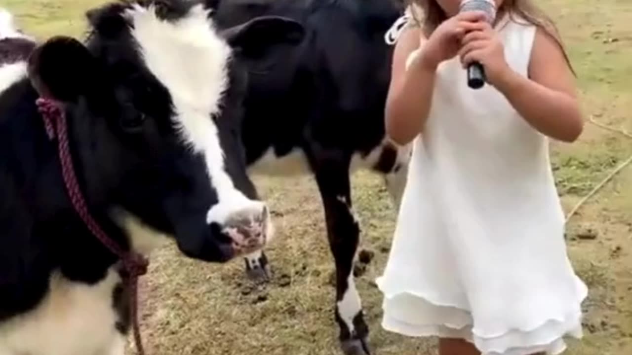 Moo-sical Duo: Girl and Baby Cow Sing-Along! 🎤👧🐄🎵🌾😂