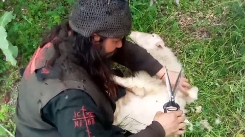 ΤΟ ΜΆΙΟ ΚΟΥΡΕΎΟΥΝ ΤΑ ΠΡΌΒΑΤΑ