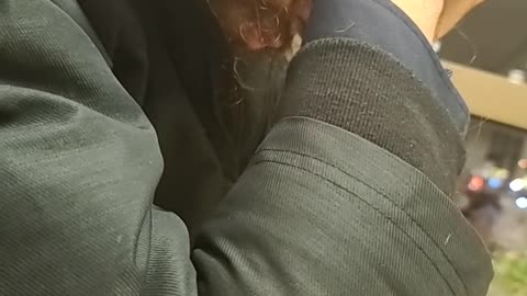 Child Predator gets caught meeting child